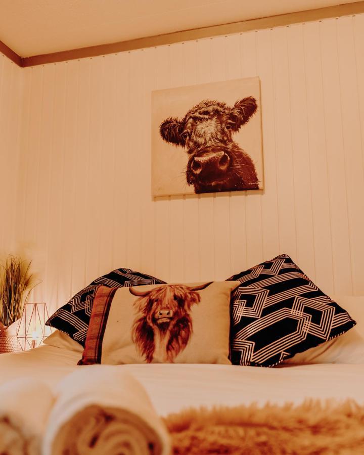 Willa Wooden Cosy Retreat Hunters Quay Dunoon Zewnętrze zdjęcie